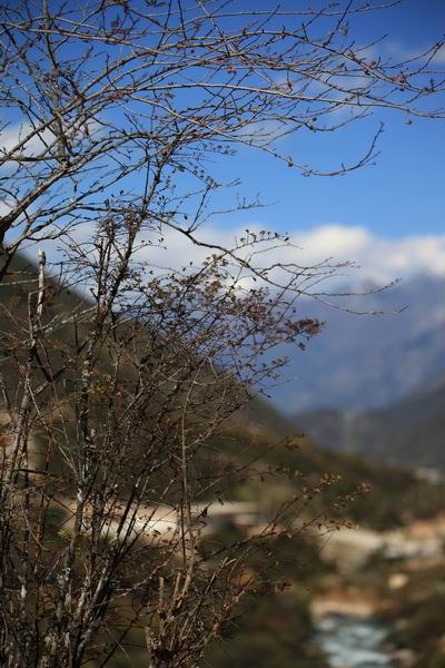 �����ҹ��������ﾰ (13).JPG