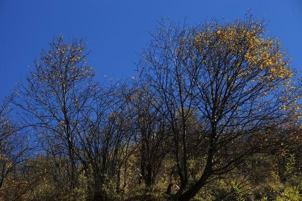 �����ҹ��������ﾰ (14).JPG