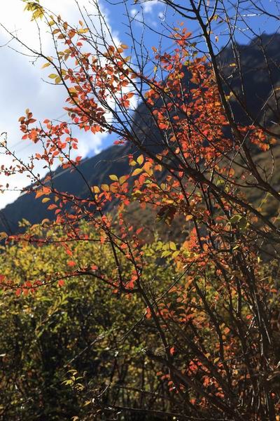 �����ҹ��������ﾰ (26).JPG