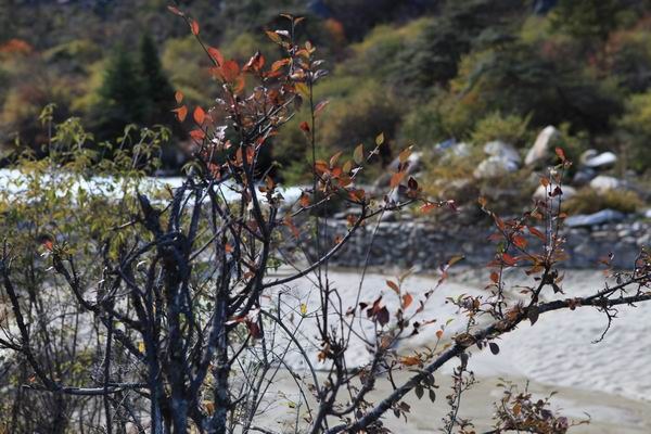 �����ҹ��������ﾰ (27).JPG