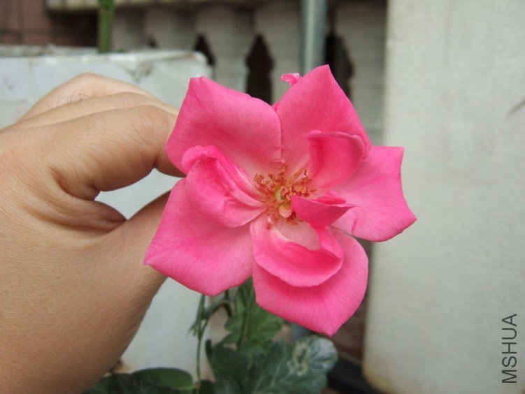 DSCF2803.JPG