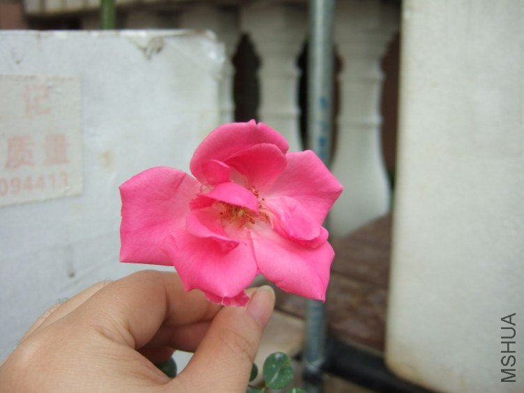 DSCF2802.JPG