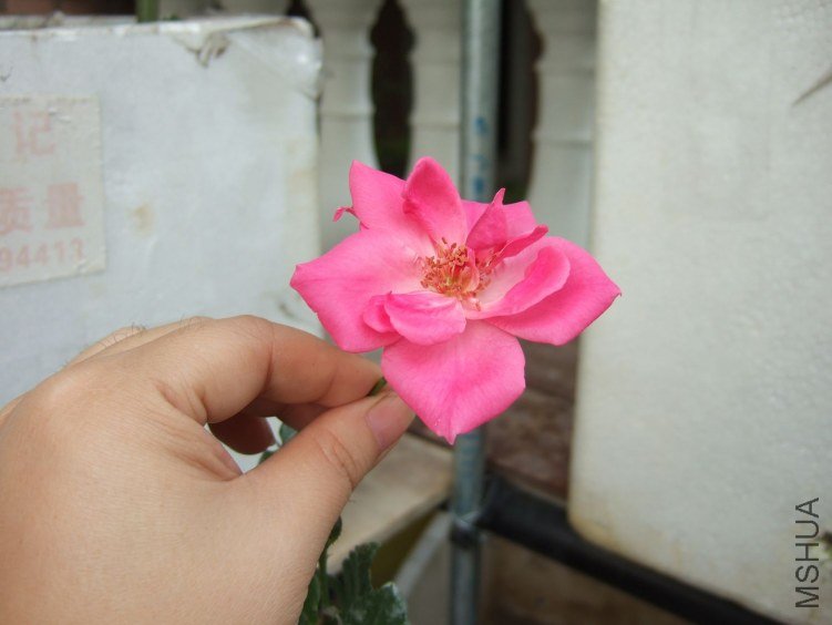 DSCF2804.JPG