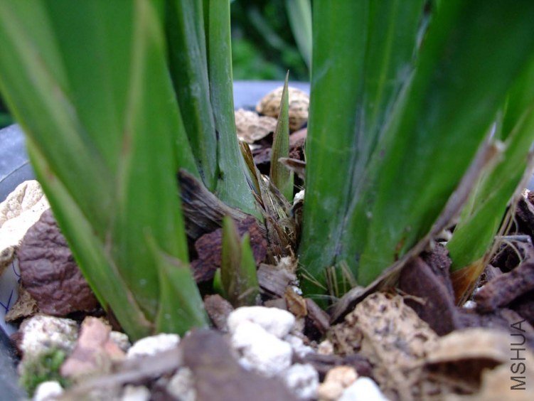 ī�� 2012-10-16 007.jpg