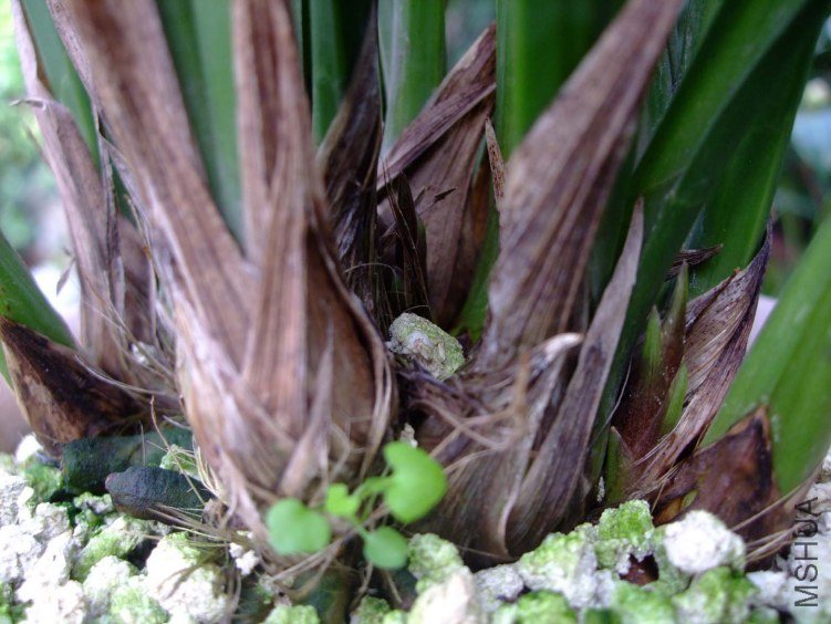 ī�� 2012-10-16 008.jpg