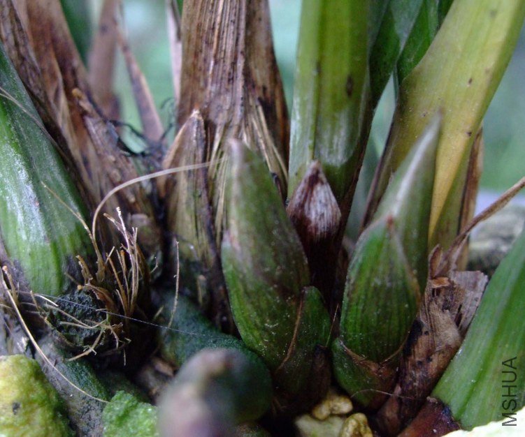 ���� 2012-10-16 022.jpg