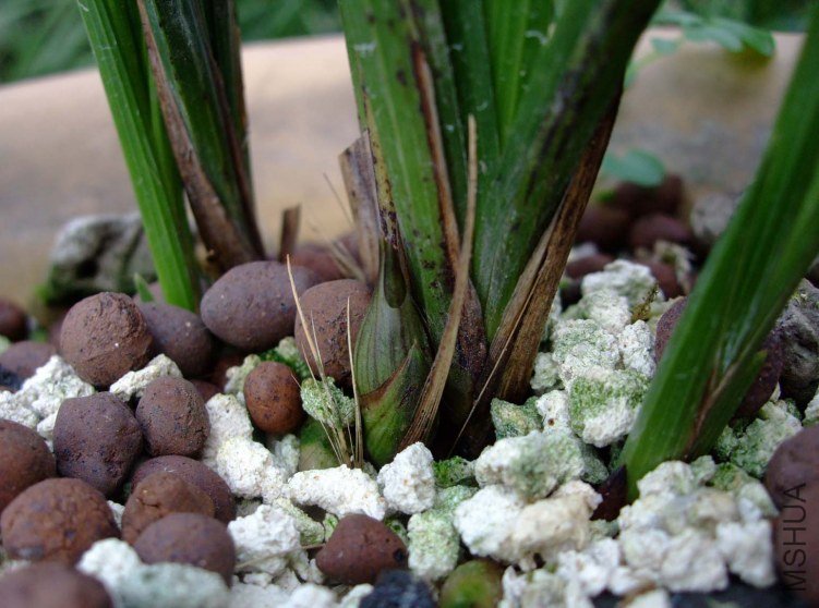 ޥ�� 2012-10-16 018.jpg