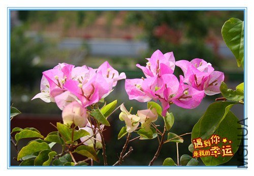 ��Ƭ 110_����.jpg