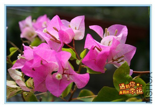 ��Ƭ 113_����.jpg