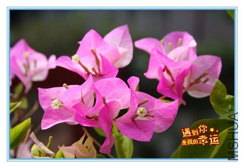 ��Ƭ 115_����.jpg