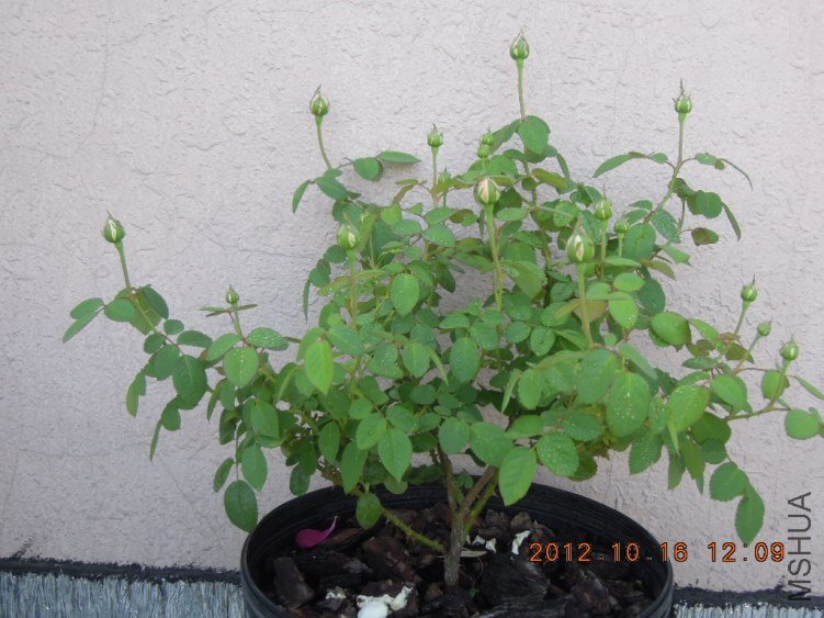 DSCN4405.jpg