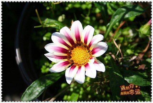 ��Ƭ 028_����1.jpg