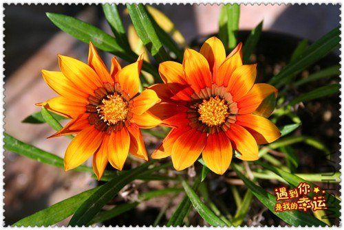 ��Ƭ 028_����2.jpg