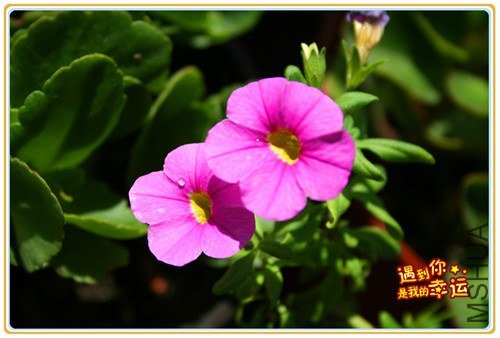 ��Ƭ 049_��ת_����.jpg