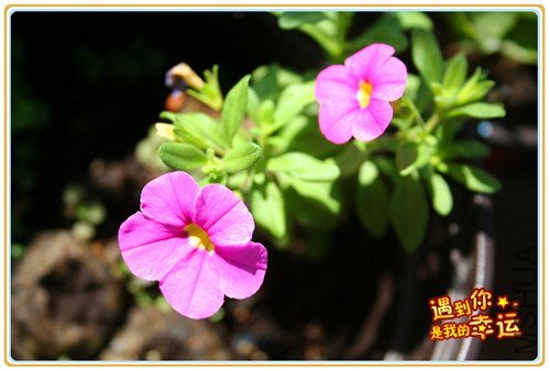 ��Ƭ 049_��ת_����1.jpg