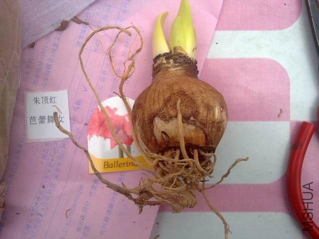 20121016089.jpg