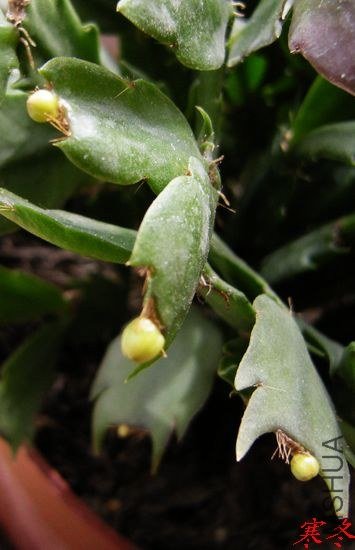 DSCN5057.jpg