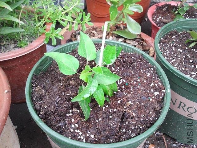 ����֮��