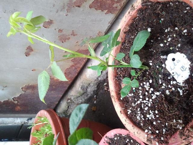 ���Ե�ʲô??