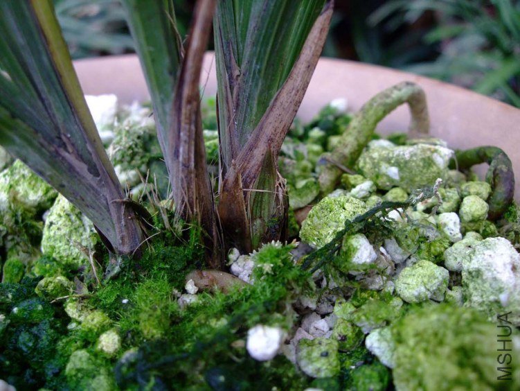 ޥ�� 2012-10-16 020.jpg