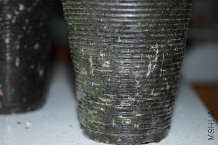 DSC_2472.jpg