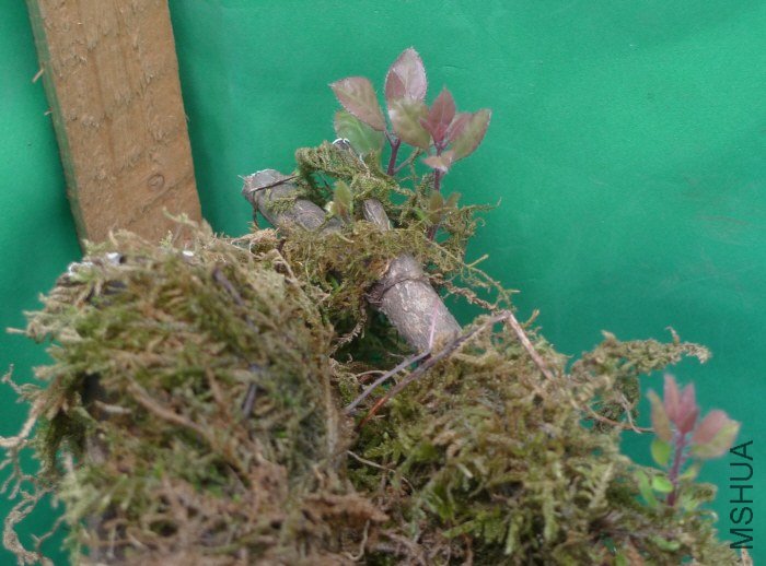 2012-10-17 ���� 16-02-38.jpg