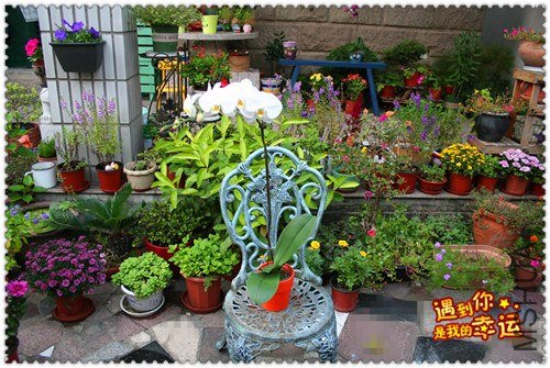 ��Ƭ 002_����.jpg