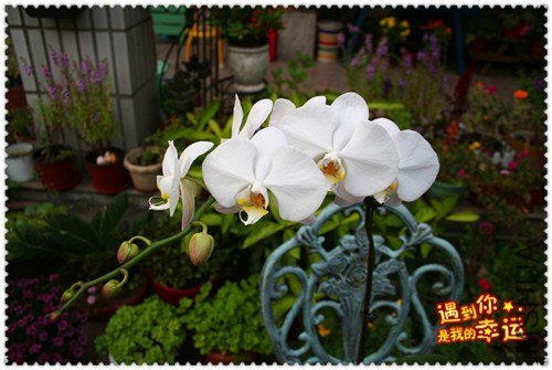 ��Ƭ 004_����.jpg