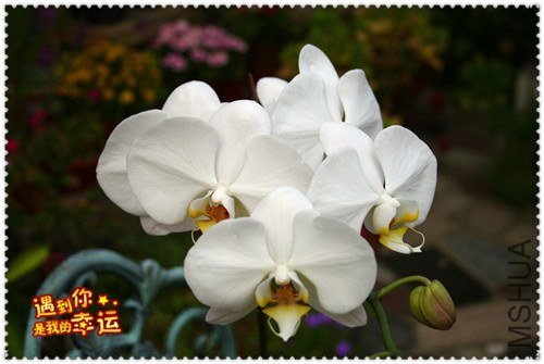 ��Ƭ 005_����.jpg