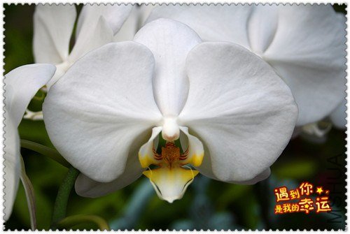 ��Ƭ 007_����.jpg