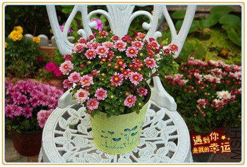 ��Ƭ 016_����.jpg