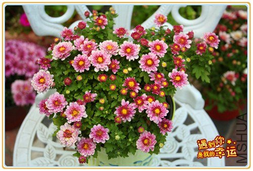 ��Ƭ 018_����.jpg