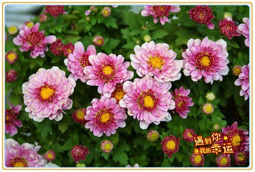 ��Ƭ 023_����.jpg