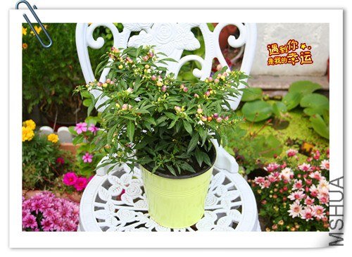 ��Ƭ 043_����.jpg