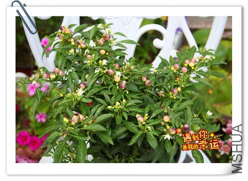 ��Ƭ 047_����.jpg