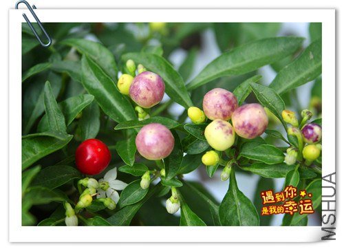 ��Ƭ 051_����.jpg