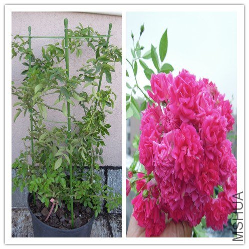 DSCN4422_����4_����222222.jpg