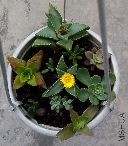 �ڶ���Ҳ����