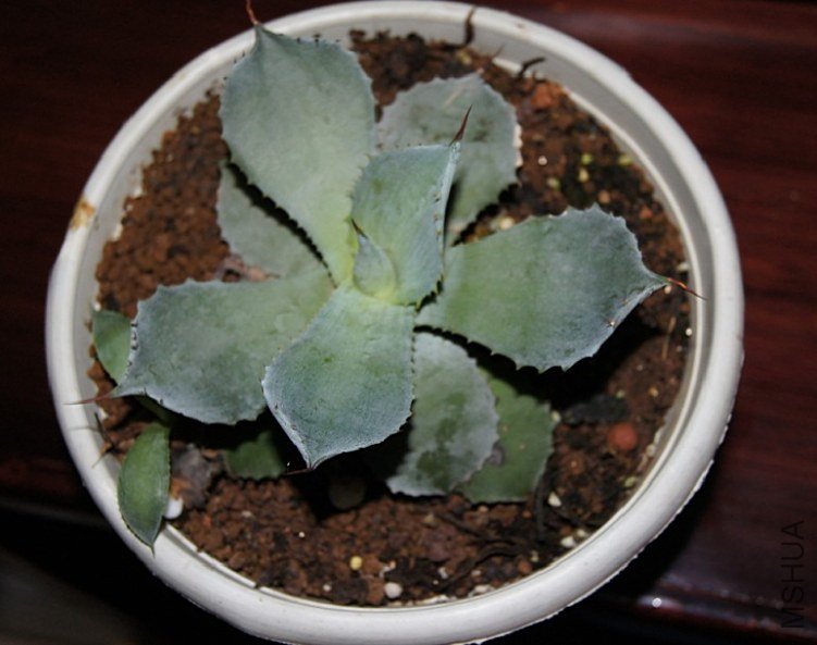 QQ��ͼ20121018005126.jpg