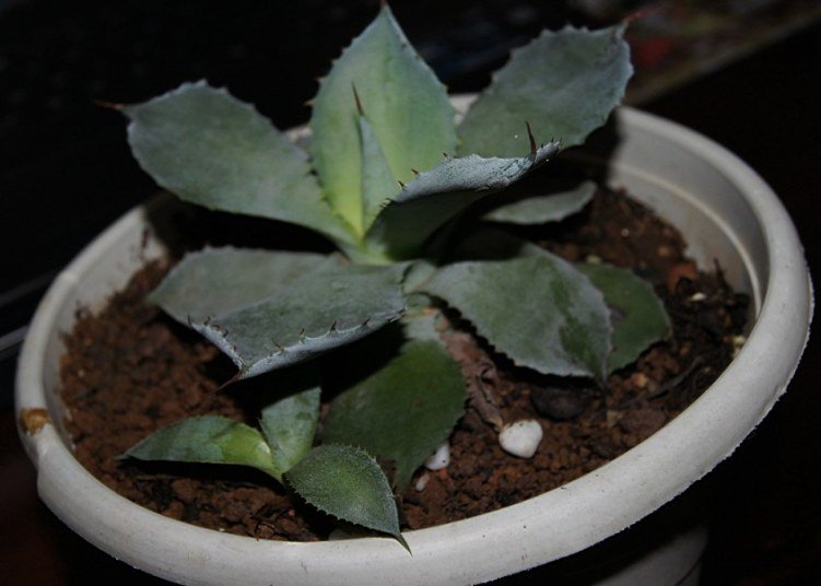 QQ��ͼ20121018005144.jpg