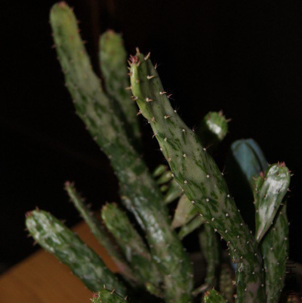 QQ��ͼ20121018005229.jpg