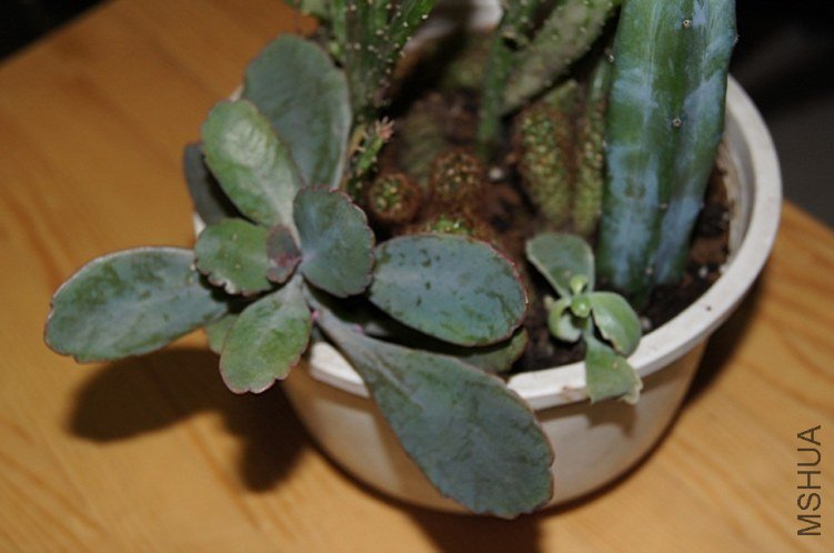 QQ��ͼ20121018005318.jpg