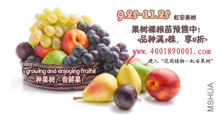 �簲�Ա�����ͼ.jpg