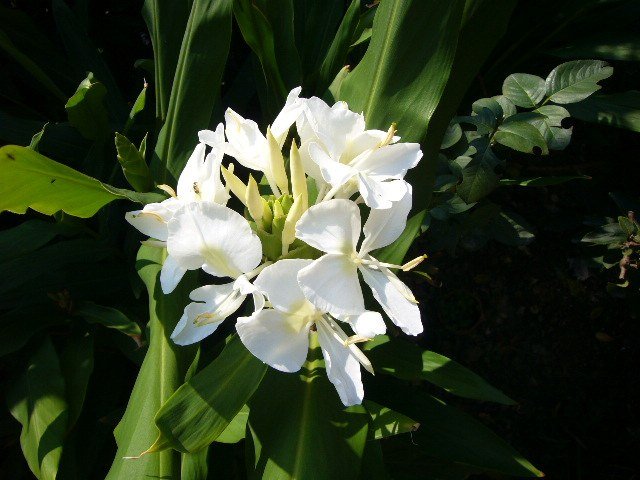 Ұ����20121018 004.JPG