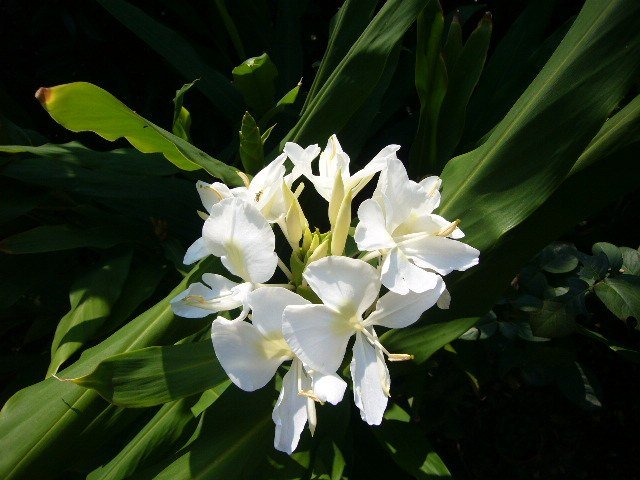 Ұ����20121018 003.JPG