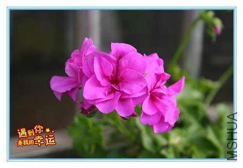 ��Ƭ 043_����.jpg