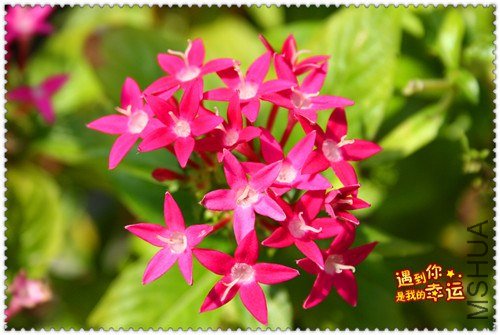 ��Ƭ 050_����.jpg