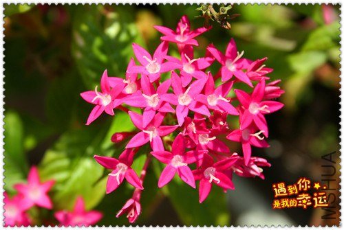 ��Ƭ 053_����.jpg