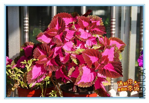 ��Ƭ 030_����.jpg