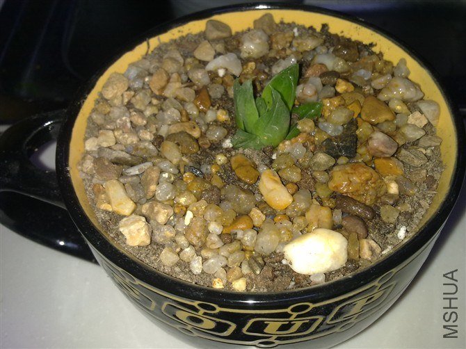 psb[8].jpg